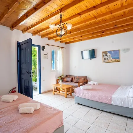 Liana Studios Apartment Mykonos Town